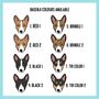 Basenji Portrait T Shirt, thumbnail 5 of 6