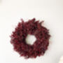 Preserved Burgundy Ruscus Wreath, thumbnail 4 of 5