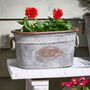 Flowers And Garden Metal Planter Tub, thumbnail 1 of 4