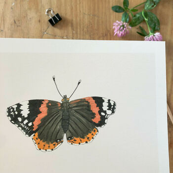 Set Of Butterfly A5 Giclée Art Prints, 3 of 11