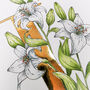 L Is For Lily Illuminated Botanical Print, thumbnail 3 of 6