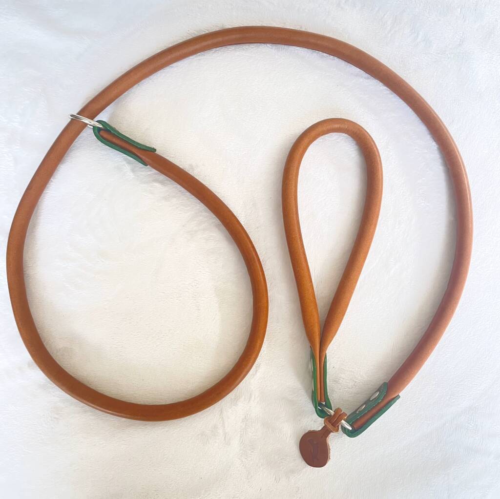 Green Rolled Leather Slip Lead By Pugalier Of London