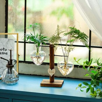 Glass Hydroponic Plant Vases Terrarium With Stand, 3 of 7