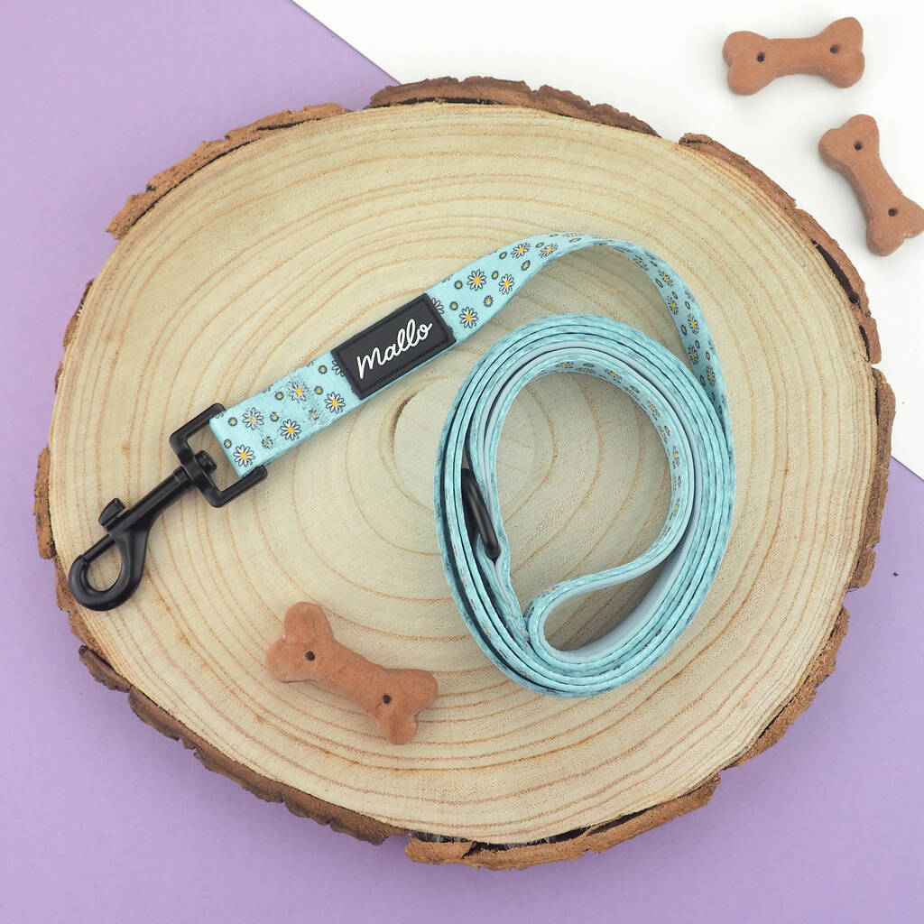 Daisy Dog Harness, Collar And Lead Set By Mallo