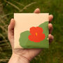 Nasturtium Greetings Card With Seeds, thumbnail 7 of 8