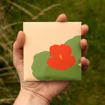 Nasturtium Greetings Card With Seeds, 7 of 8