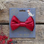 Artisan Dog Treats – Handmade In Norfolk, thumbnail 10 of 12