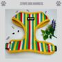 Multi Coloured Stripe Dog Harness, thumbnail 1 of 5