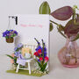 Mother's Day Hanging Garden, thumbnail 4 of 7