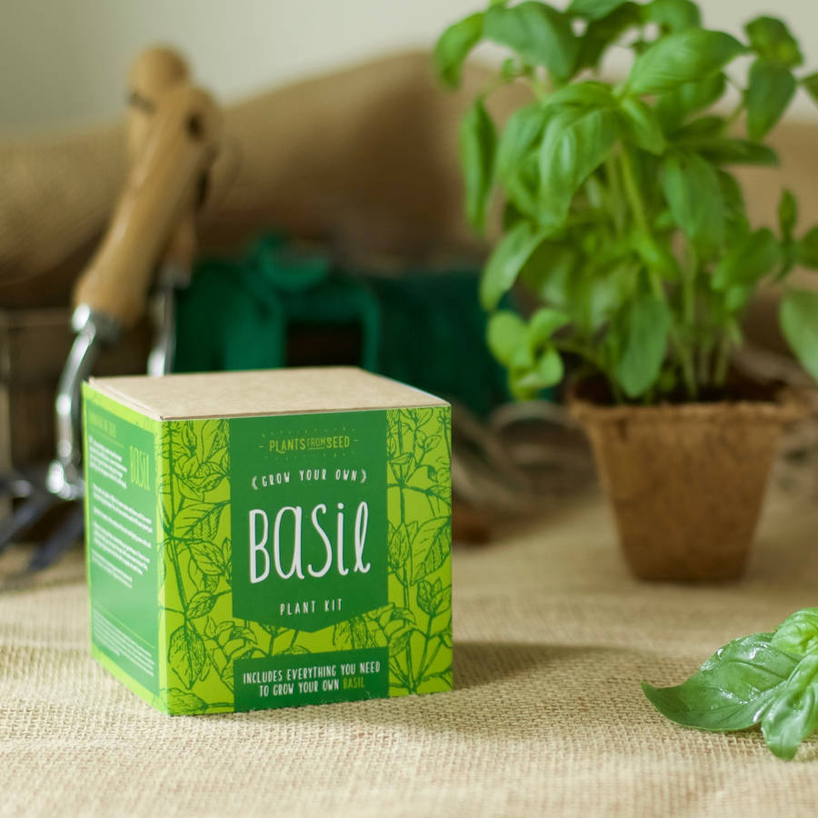 Grow Your Own Basil Plant Kit By Plants From Seed