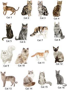 Personalised Cat Breed Christmas Decoration, 2 of 3