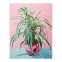 Spider Plant Lover Pink Green Blue Wall Art Print, thumbnail 6 of 6