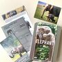 Adopt An Elephant Gift Tin, thumbnail 1 of 4