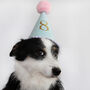 Any Age Dog Party Hat, thumbnail 1 of 3