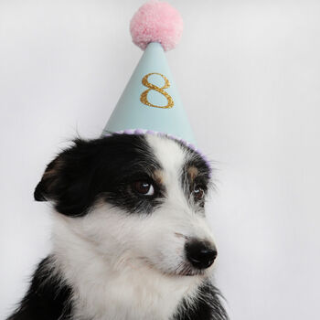 Personalised Dog Party Hat By Postbox Party | notonthehighstreet.com