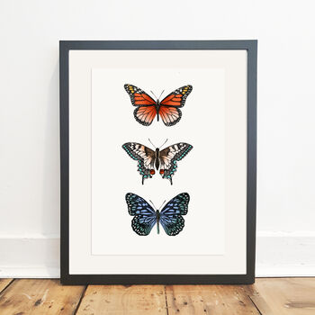 Butterfly Botanical Illustration Print, 4 of 4