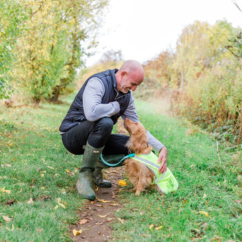 Personalised Reflective Dog Safety Coat / Vest / Jacket, 4 of 12