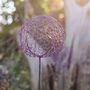 Chicken Wire Allium Recycled Metal Garden Sculpture, thumbnail 2 of 5