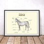 Anatomy Of A Horse Art Print By Sophie Corrigan, thumbnail 1 of 4