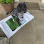 Golf Towel Birthday Gift Personalised For Birth Year, thumbnail 3 of 5