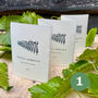 Grow Your Own White Wine Gift Crate, thumbnail 2 of 12