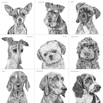 Personalised Dog Portrait, 9 of 10