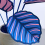 Small Blue Pinstripe Plant, thumbnail 4 of 4