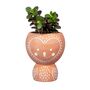 Terracotta Owl Planter With Choice Of Chinese Money Plant Pilea, thumbnail 3 of 3