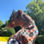 Chunky Check Dog Collar, thumbnail 8 of 10