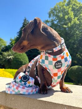 Chunky Check Dog Collar, 8 of 10