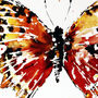 Butterfly Red, thumbnail 3 of 3