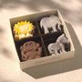Lion, Zebra, Elephant And Monkey Chocolate Box, thumbnail 1 of 3