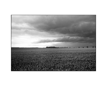 Skyscape, Occold, Suffolk Photographic Art Print, 3 of 4
