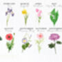 Birth Flower Year Card, thumbnail 9 of 9