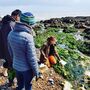 Foraging With Sea Swim And Beach Picnic, thumbnail 6 of 8