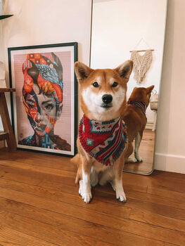 Frayed Red Boho Cherokee Bandana Scamps, 3 of 4