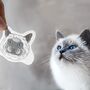 Personalised Waterproof Pet Portrait Face Stickers, thumbnail 2 of 12