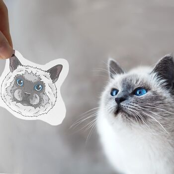 Personalised Waterproof Pet Portrait Face Stickers, 2 of 12