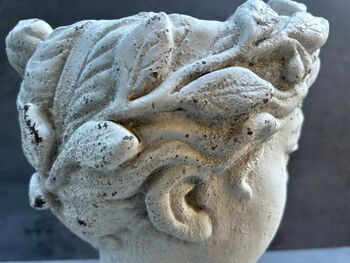 Roman Lady Head Plant Pot Handcrafted In/Outdoor Pot, 6 of 9