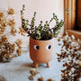 Mini Terracotta Plant Pot With Googly Eyes, thumbnail 1 of 3