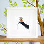 Inky Puffin Illustration Print, thumbnail 6 of 12