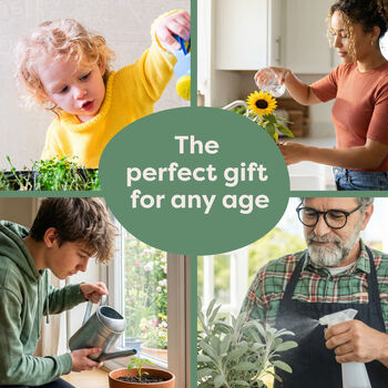 Personalised Indoor Herb Garden Kit, 9 of 12
