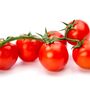Tomato Plants 'Tumbling Tom Red' Six Plug Plant Pack, thumbnail 1 of 8