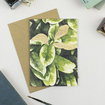 Botanical Art Card Pack Of Six, 7 of 10