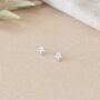 Sterling Silver Tiny Mushroom Stud Earrings, thumbnail 3 of 7