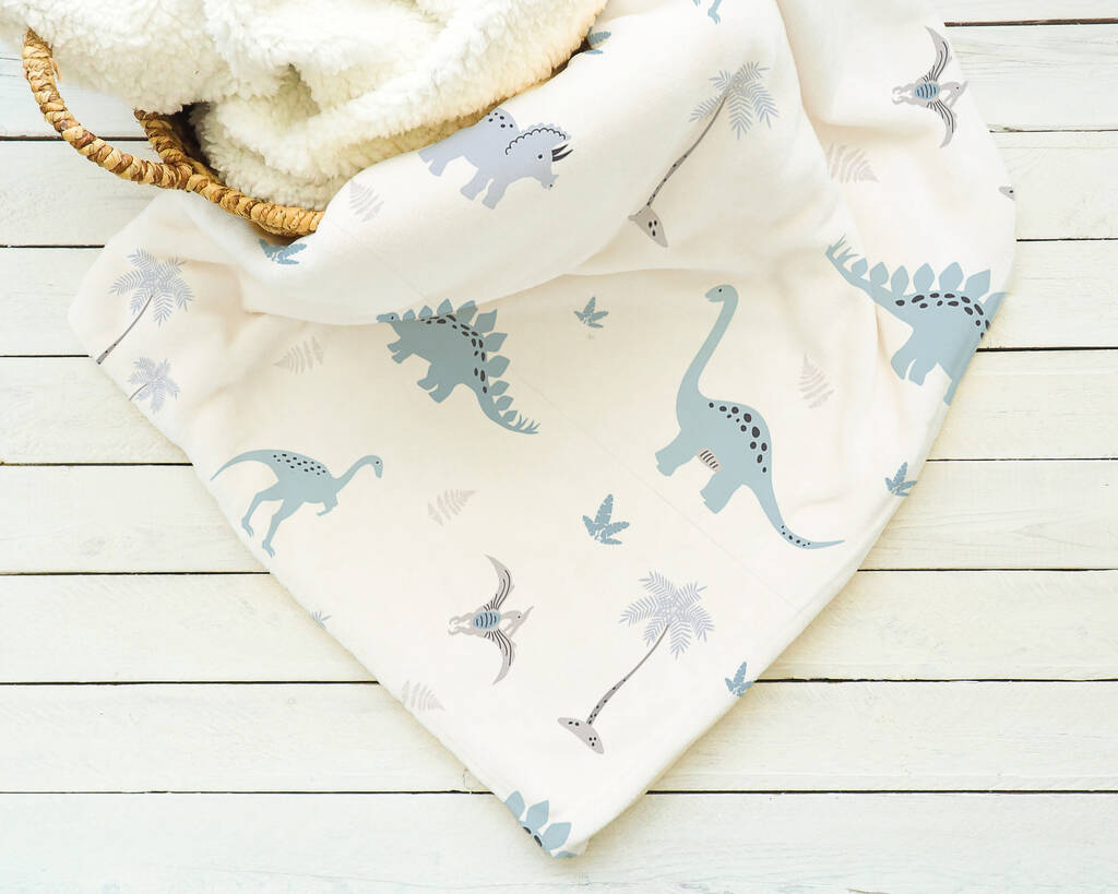 Blue Dinosaurs Baby Blanket By Big Little Bedrooms