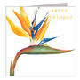 Gold Foiled Bird Of Paradise Birthday Card, thumbnail 2 of 3