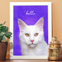 Colourful Modern Pet Portrait Personalised, thumbnail 1 of 2