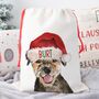 Border Terrier Dog Christmas Sack, thumbnail 1 of 2