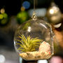 Hanging Glass Air Plant Terrarium With A Figure, thumbnail 2 of 3